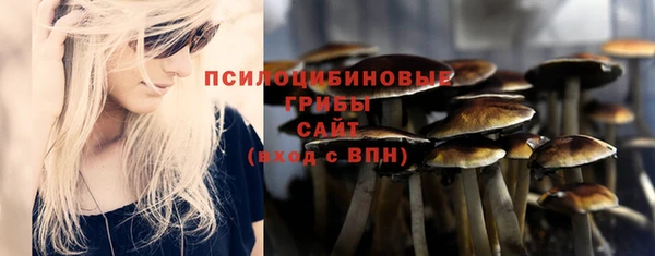 МДПВ Каменск-Шахтинский