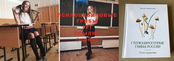MDMA Premium VHQ Каменка