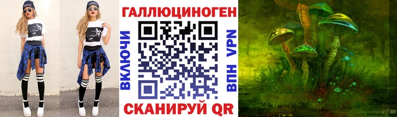 Галлюциногенные грибы Psilocybe  Купить  Ак-Довурак 